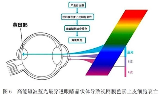蓝光危害原理